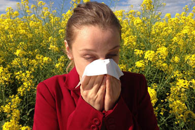 Allergisches Niesen